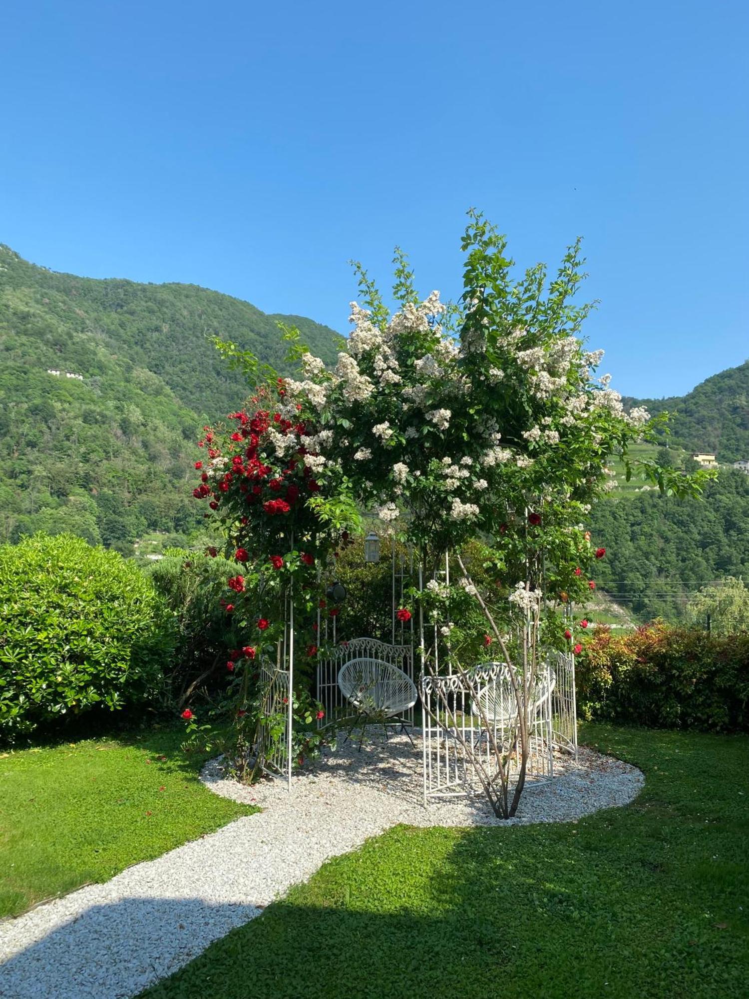Bed And Breakfast Casa Del Nonno Adrara San Rocco Exterior foto